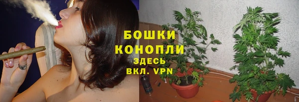 мет Зеленодольск