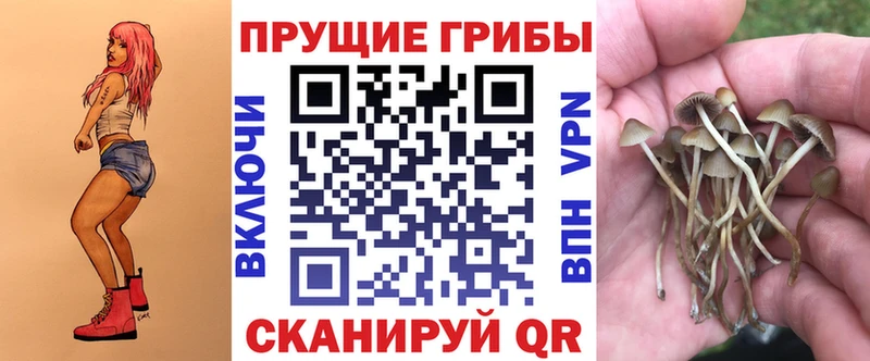 ссылка на мегу ТОР  Сафоново  Галлюциногенные грибы прущие грибы 