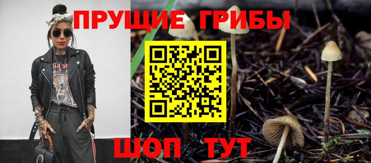Псилоцибиновые грибы ЛСД  Вход с VPN  Сафоново  Псилоцибиновые грибы мицелий 