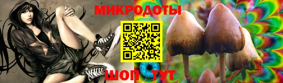 Галлюциногенные грибы Cubensis Сафоново